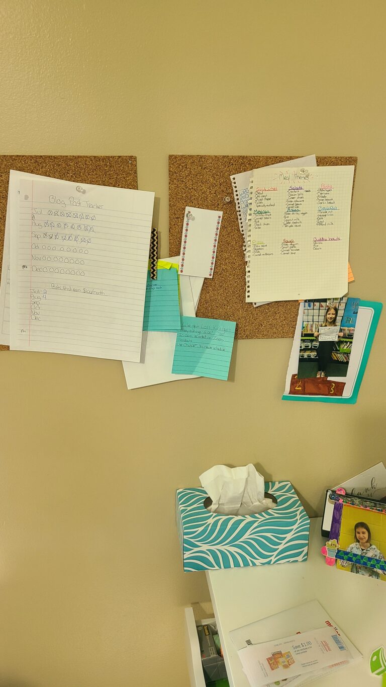 ADHD Desk Organization (My Top Tips) - organizewithadhd.com