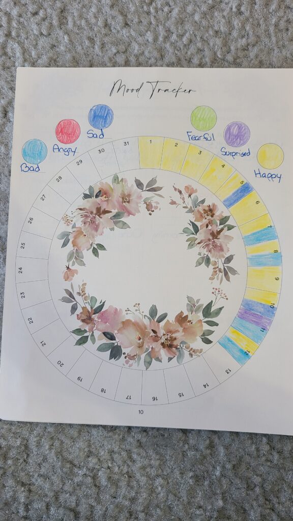 An opened Silk and Sonder planner, opened up to the Mood tracker page